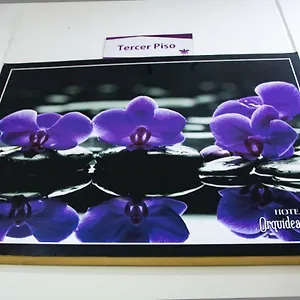 orquidea-west.hotels-bogota.net/